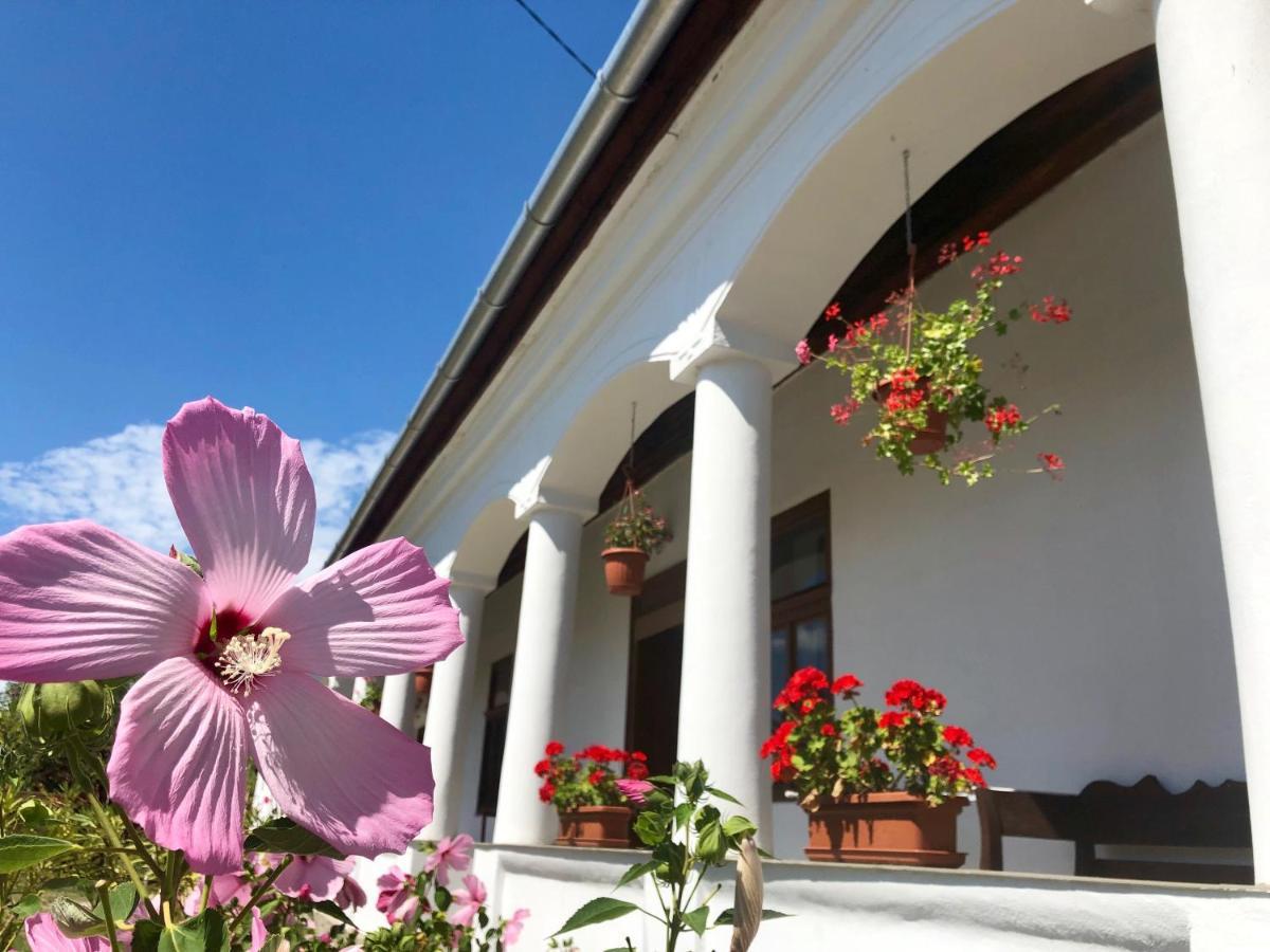 Heni Vendeghaza Hotel Vadna ภายนอก รูปภาพ